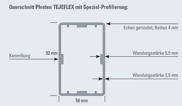 TeJeFlex Aluminium-Pfosten 58x92mm 187cm lang RAL 7016 anthrazit 46762